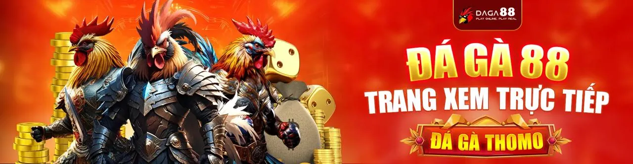 Đấu trường đá gà trực tuyến vn69 win sôi động